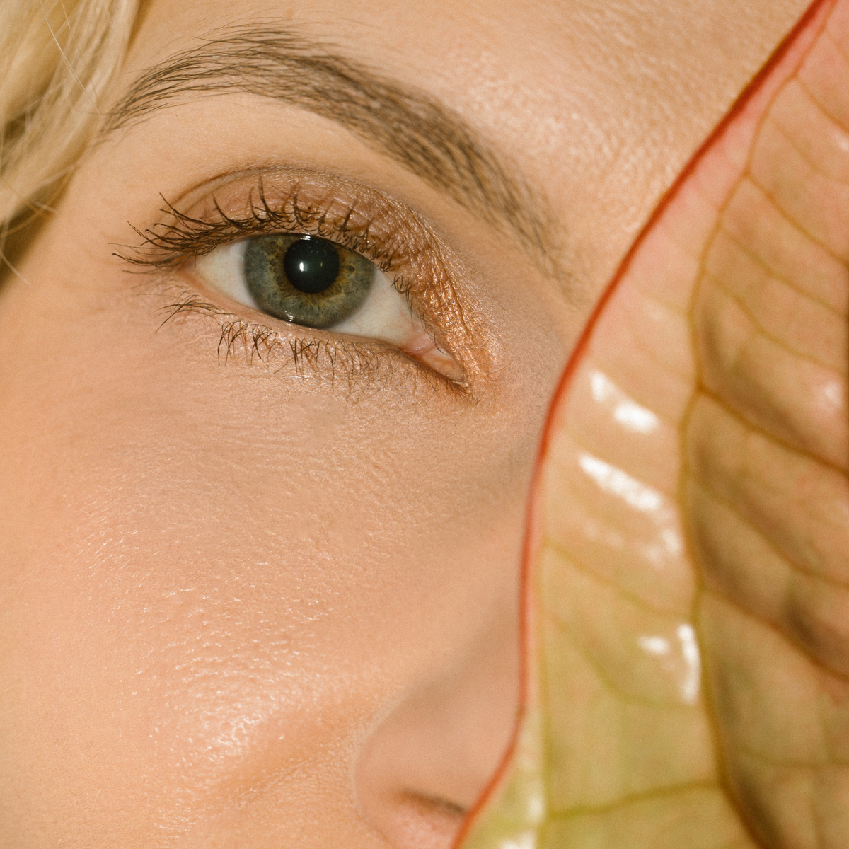 Eco By Sonya Mitzi Mascara - Brown