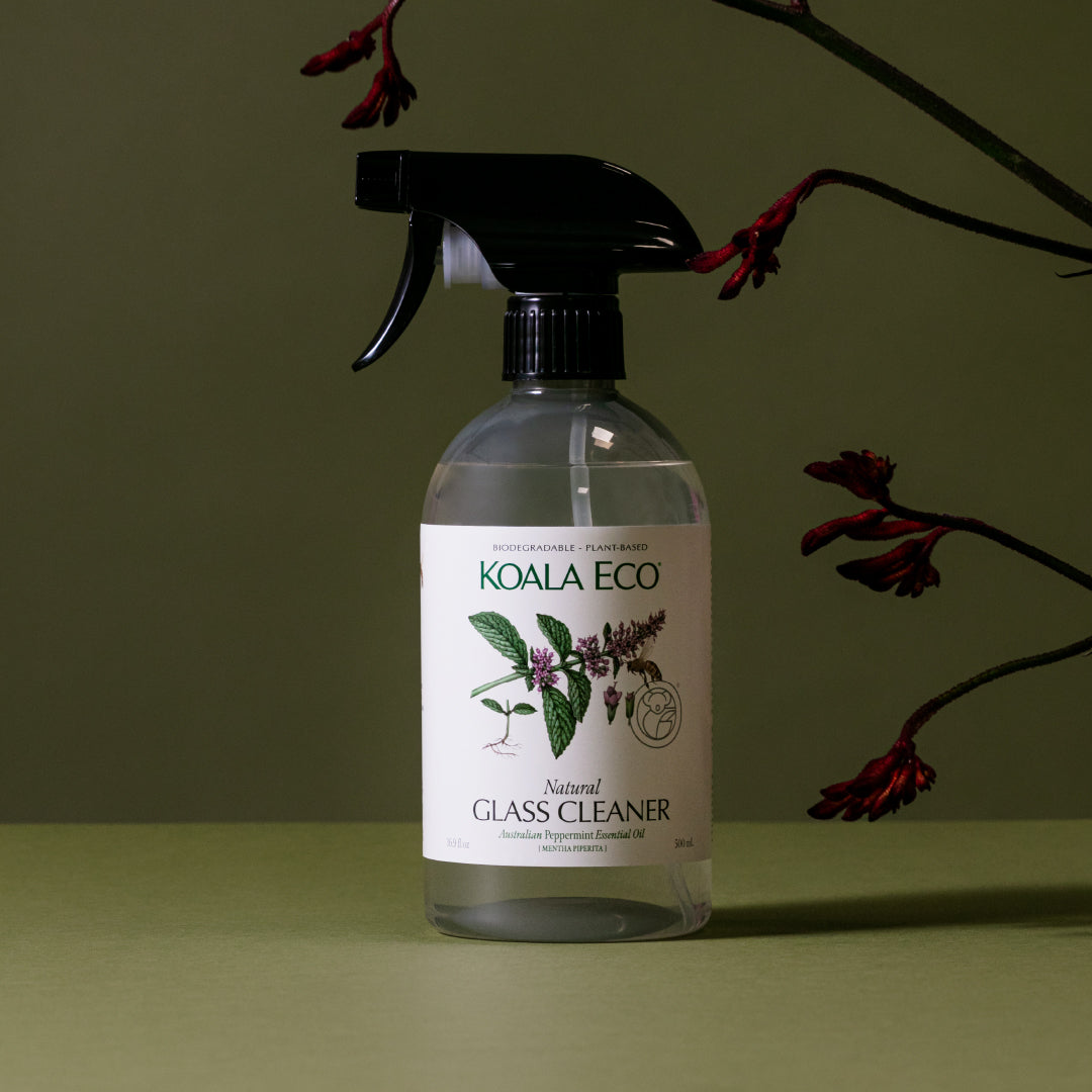 Koala Eco Peppermint Glass Cleaner – 500mL – alternate image
