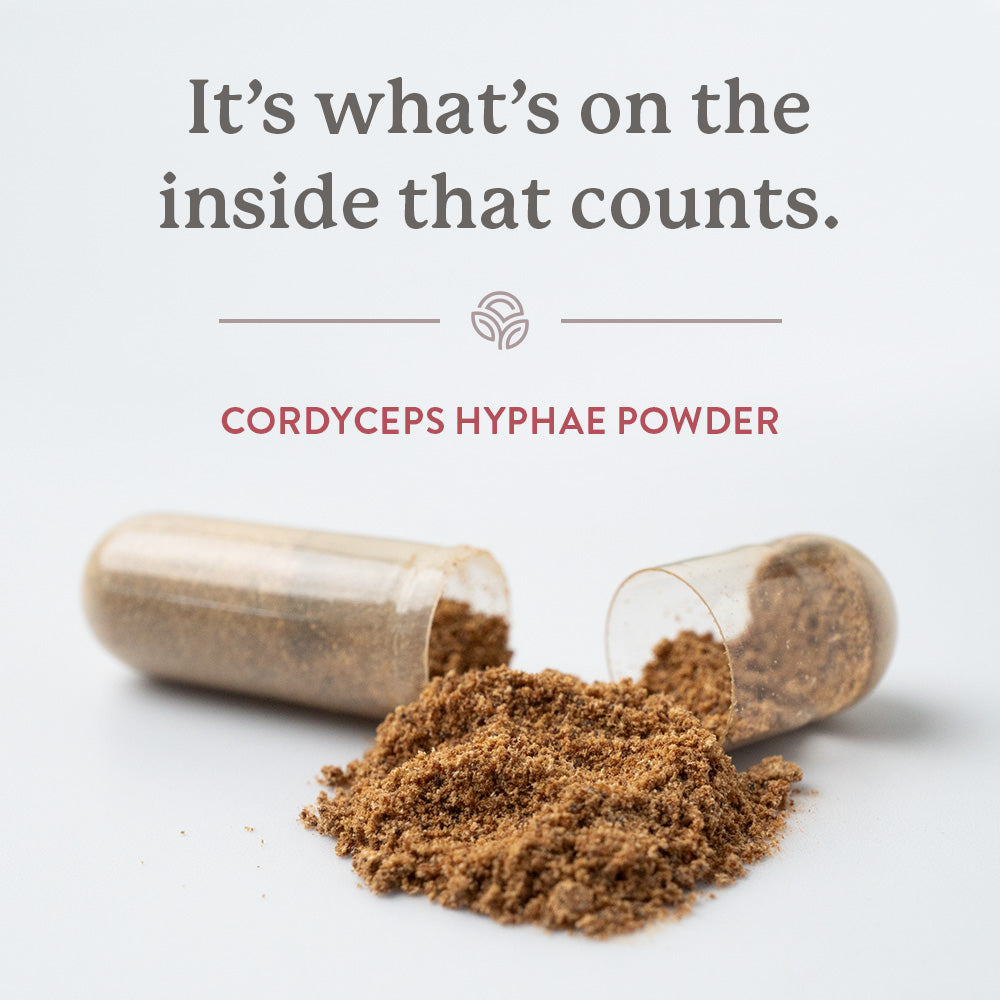 Nature's Sunshine Cordyceps 90 Capsules