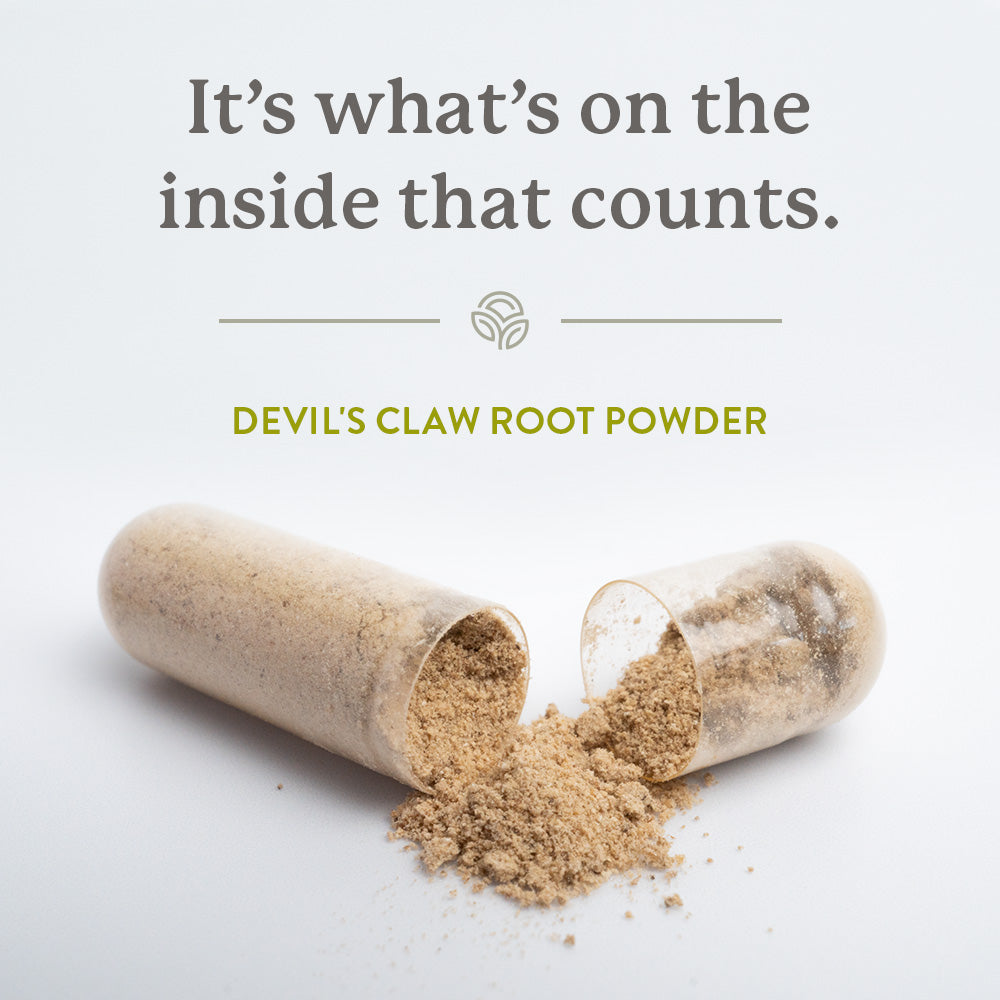 Nature's Sunshine Devil's Claw 450mg 100 Capsules